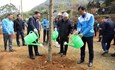 Chủ tịch Đỗ Văn Chiến dự Lễ phát động Tết trồng cây “Đời đời nhớ ơn Bác Hồ” Xuân Quý Mão