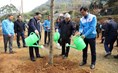 Chủ tịch Đỗ Văn Chiến dự Lễ phát động Tết trồng cây “Đời đời nhớ ơn Bác Hồ” Xuân Quý Mão