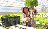 Một số giải pháp nhằm phát huy vai trò của nông dân Việt Nam hiện nay 