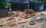 Đã có 103 người chết và mất tích do trận lũ lụt lịch sử gây ra