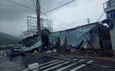 Đã có 31 người chết và mất tích do bão số 12 -Damrey gây ra