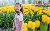 Ra mắt lễ hội Tulip lớn nhất Việt Nam tại Vinpearl Nha Trang