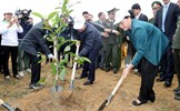 Chủ tịch Quốc hội dự Lễ ra quân hưởng ứng Tết trồng cây tại Hòa Bình