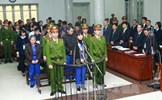 Viện Kiểm sát nhân dân tối cao yêu cầu đưa Dương Thị Kim Luyến đi chấp hành án phạt tù