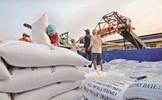  Bộ Tài chính: Doanh nghiệp trúng thầu mua gạo dự trữ nhưng không ký hợp đồng