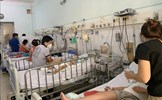 TP Hồ Chí Minh: Bệnh sốt xuất huyết giảm, tay chân miệng có dấu hiệu tăng 