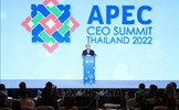 Việt Nam luôn tham gia tích cực và có sáng kiến cụ thể trong APEC