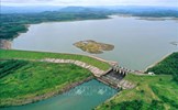 Phạt Công ty Cổ phần Thủy điện Vĩnh Sơn - Sông Hinh 200 triệu đồng