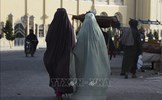 Taliban buộc các tổ chức phi chính phủ không cho phụ nữ làm việc 