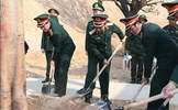 Bộ Quốc phòng phát động 'Tết trồng cây đời đời nhớ ơn Bác Hồ'