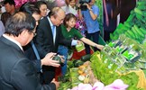 Nhà nước tạo lập tiền đề phát triển nông nghiệp công nghệ cao ở Việt Nam
