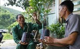 Lão nông đi đầu trong phát triển kinh tế trang trại ở Tuyên Quang