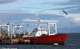 57 thủy thủ Argentina mắc Covid-19 bí ẩn sau 35 ngày trên biển