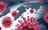 Nguy cơ đại dịch từ 850.000 virus lạ trên động vật