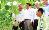 Những điểm sáng của ngành nông nghiệp Việt Nam giai đoạn 2016 - 2020