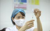 Sáng 24/3, Việt Nam không có ca mắc mới COVID-19, 16 địa phương đã triển khai tiêm vaccine
