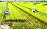 Mối quan hệ giữa nông nghiệp và công nghiệp trong xây dựng và phát triển đất nước theo tư tưởng Hồ Chí Minh - Vận dụng vào hoàn thiện cơ cấu ngành kinh tế hiện nay