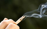 Nâng cao vai trò của người cao tuổi trong phòng chống tác hại thuốc lá