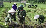 Nâng cao chất lượng giáo dục giá trị văn hóa quân sự Việt Nam cho lực lượng vũ trang nhân dân hiện nay