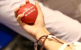 Viện trưởng Viện Huyết học - Truyền máu Trung ương: Máu dự trữ chỉ đủ trong vài ngày