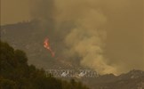Cháy rừng tạo ra lượng khí thải kỷ lục trong năm 2021 