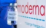 Liều tiêm thứ 3 của vaccine Moderna bằng nửa liều cơ bản