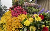 Ngày cận Tết, giá nhiều loại hoa tươi đắt gần gấp đôi