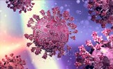 Israel phát hiện biến thể lai mới của virus SARS-CoV-2