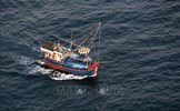 Hội Nghề cá Việt Nam phản đối Trung Quốc đơn phương cấm đánh bắt cá ở Biển Đông