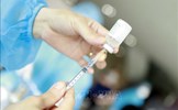 'Làm sạch' dữ liệu tiêm chủng vaccine COVID-19 trước ngày 1/6