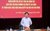 Kiểm tra việc triển khai thực hiện Nghị quyết Đại hội XIII của Đảng tại tỉnh Lai Châu