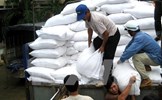 Thanh Hóa: Khởi tố cựu Trưởng thôn 'ăn chặn' gần 5 tấn gạo của người dân