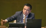 Việt Nam cùng các nước đề xuất xin ý kiến Tòa án Công lý quốc tế về biến đổi khí hậu