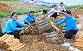 Quảng Ninh: Đẩy mạnh thực hiện Chương trình mục tiêu quốc gia phát triển kinh tế - xã hội vùng đồng bào DTTS và miền núi 