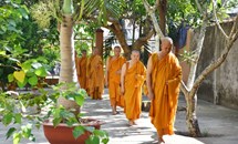Sức hấp dẫn của đạo Phật Khất sĩ Việt Nam