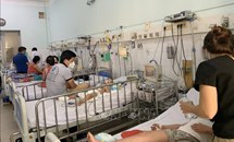 TP Hồ Chí Minh: Bệnh sốt xuất huyết giảm, tay chân miệng có dấu hiệu tăng 