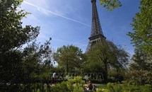 Pháp hủy bỏ kế hoạch chặt cây và xây cửa hàng dưới chân Tháp Eiffel