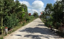 Mô hình “Tuyến đường xanh - sạch - đẹp” tại tỉnh Kiên Giang