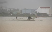 Mặt trận Trung ương hỗ trợ các tỉnh miền Trung bị thiệt hại do mưa lũ