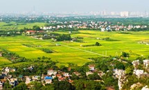 Hiệu quả từ công tác “Dồn điền đổi thửa” tại xã Bình Dương, thị xã Đông Triều