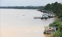 Mực nước sông Hồng lên nhanh, nguy cơ ngập lụt vùng trũng và bãi bồi