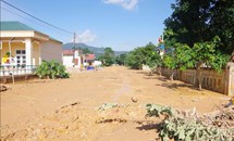 Yêu cầu khẩn trương triển khai các giải pháp khắc phục hậu quả mưa lũ gây ra ở các tỉnh miền Trung