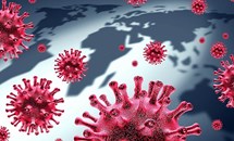 Nguy cơ đại dịch từ 850.000 virus lạ trên động vật