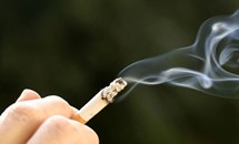 Nâng cao vai trò của người cao tuổi trong phòng chống tác hại thuốc lá