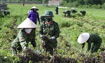 Nâng cao chất lượng giáo dục giá trị văn hóa quân sự Việt Nam cho lực lượng vũ trang nhân dân hiện nay