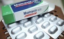 Bổ sung hướng dẫn sử dụng của remdesivir và molnupiravir