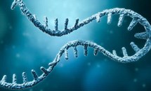 Phương pháp xét nghiệm DNA có thể phát hiện cùng lúc nhiều bệnh di truyền