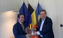 Tăng cường hợp tác giữa địa phương của Việt Nam và vùng thủ đô Brussels của Bỉ