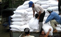Thanh Hóa: Khởi tố cựu Trưởng thôn 'ăn chặn' gần 5 tấn gạo của người dân
