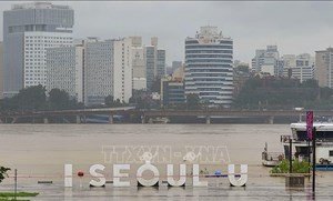Sau trận mưa lớn nhất 80 năm, Seoul mạnh tay chi hơn 1,1 tỷ USD để chống ngập lụt